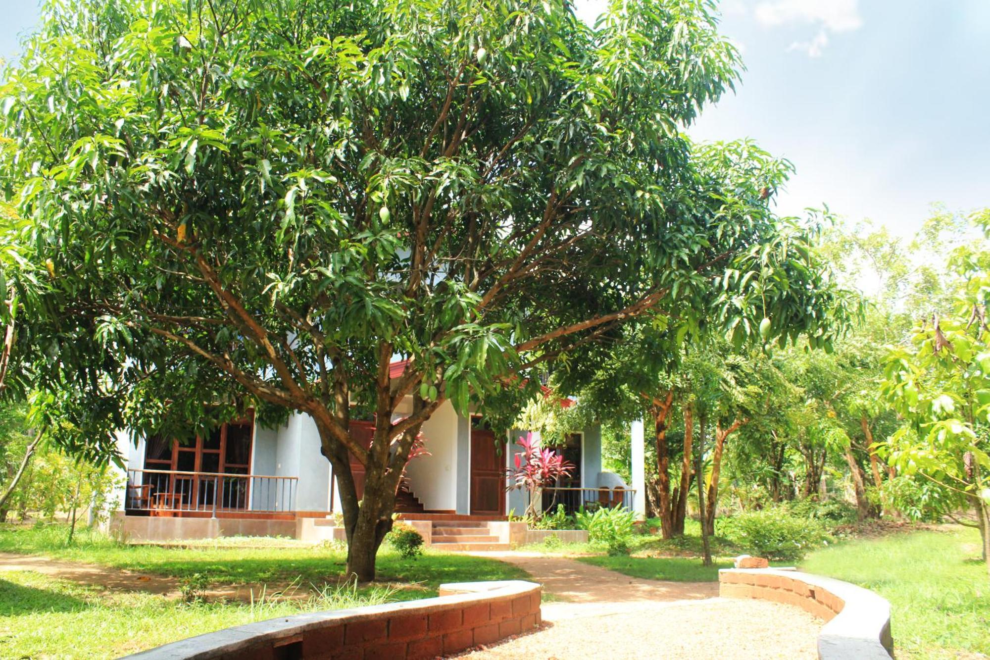 Green Hut Nature Resort สิกิริยา ภายนอก รูปภาพ
