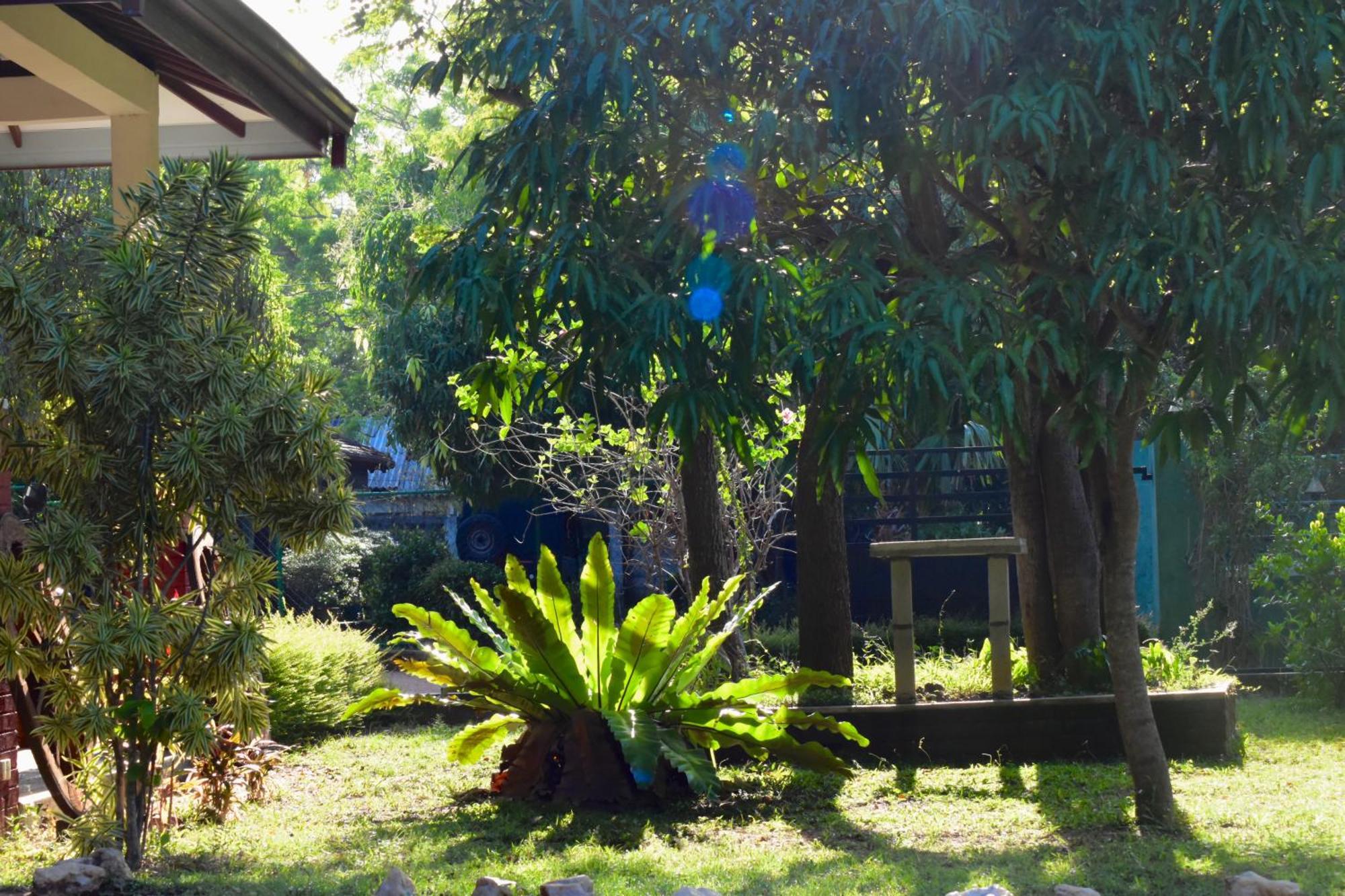 Green Hut Nature Resort สิกิริยา ภายนอก รูปภาพ